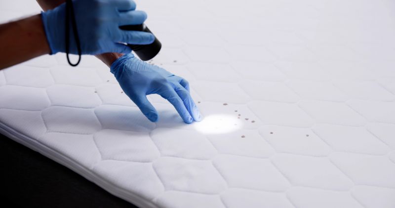 Mattress Cleaning