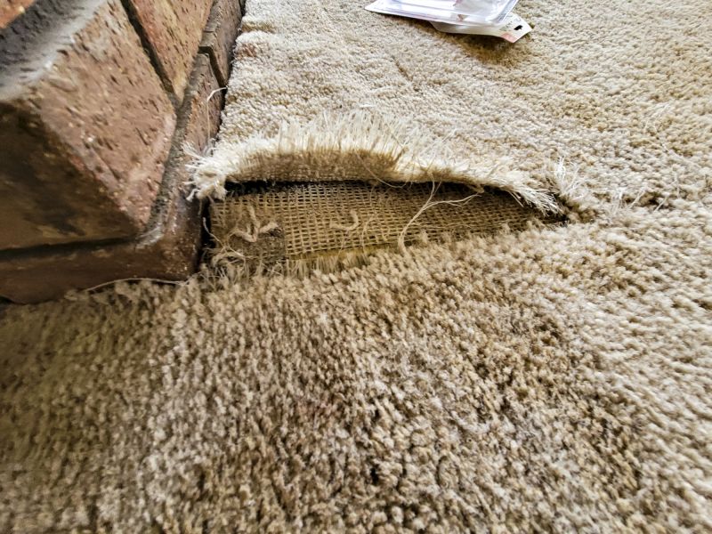 Basement Carpet Repair in Littleton, CO