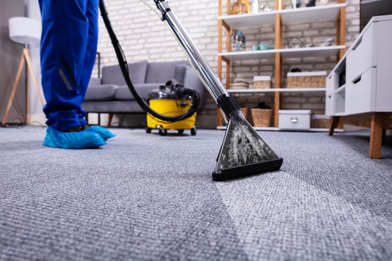 Carpet Cleaning Vs Rug Cleaning: What’s The Difference?
