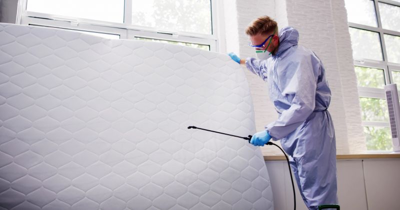 Mattress Cleaning
