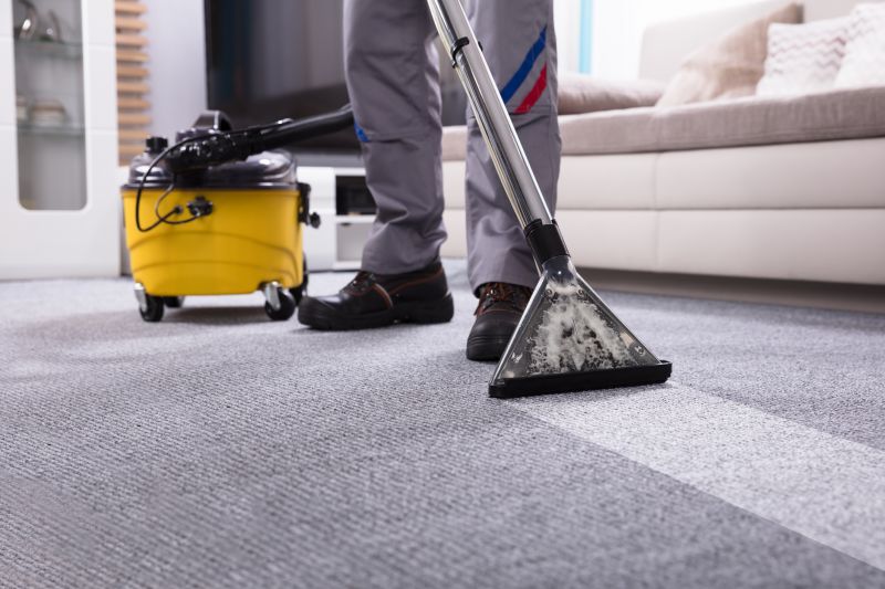 Steam Cleaning Vs Dry Carpet Cleaning Explained